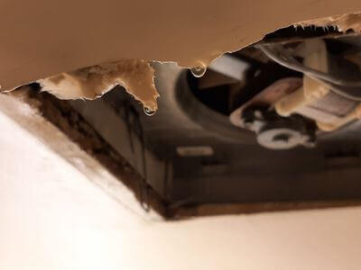 Professional storm damage restoration services in Charlotte